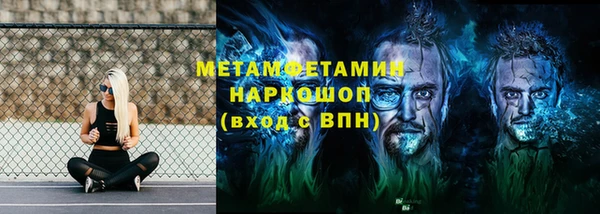 индика Богородицк