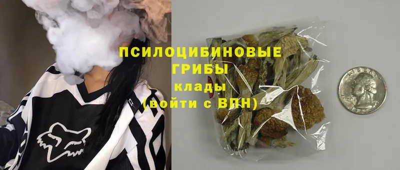 KRAKEN как войти  Гусев  Псилоцибиновые грибы MAGIC MUSHROOMS 